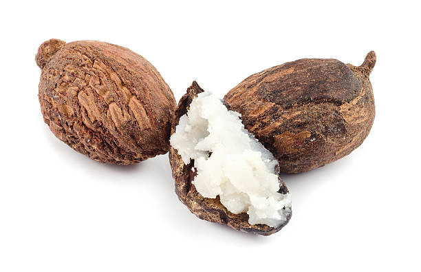 Shea Nut thumbnail